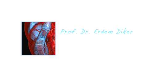 Prof. Dr. Erdem Diker Web Sitesi