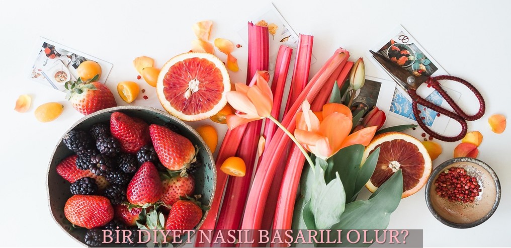 baskentdiyet.com