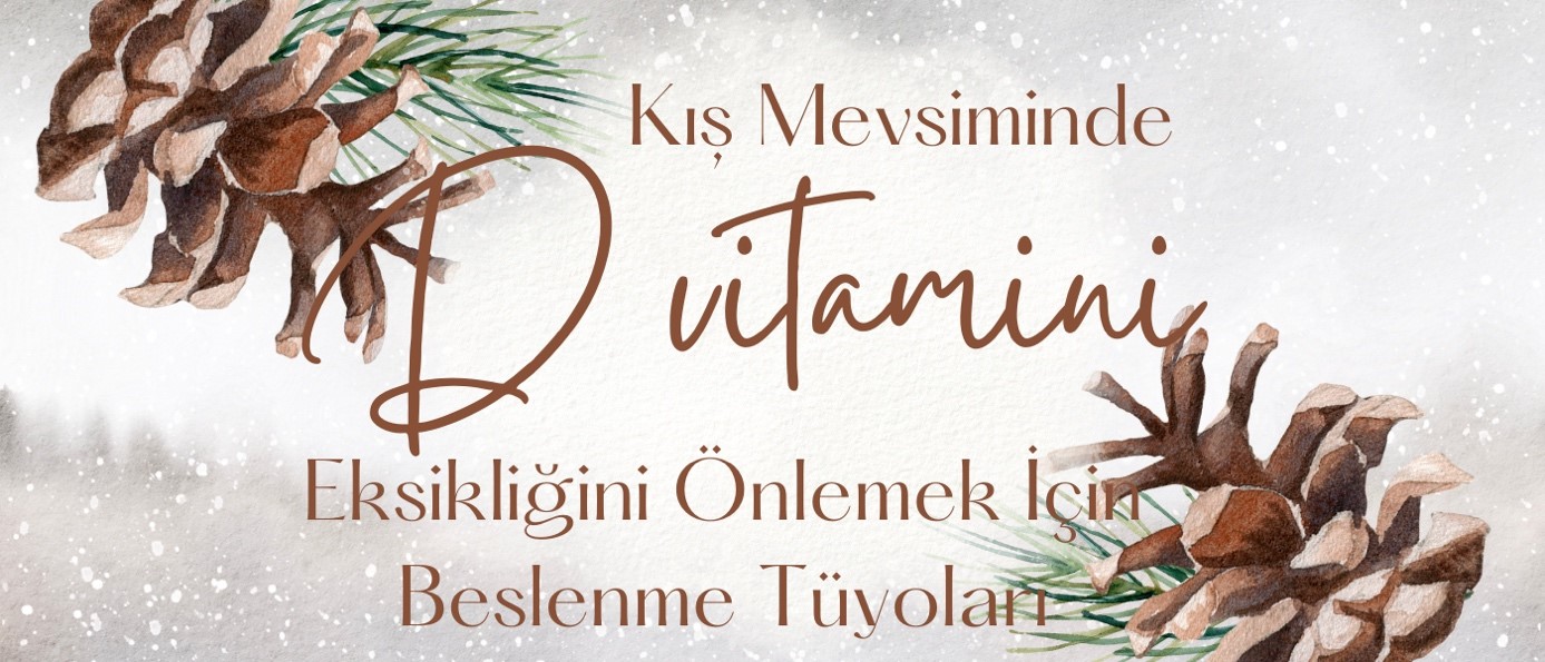 baskentdiyet.com