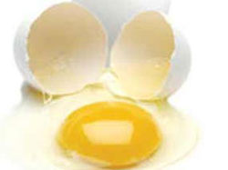 Yumurta Tüketimi ve Sağlık