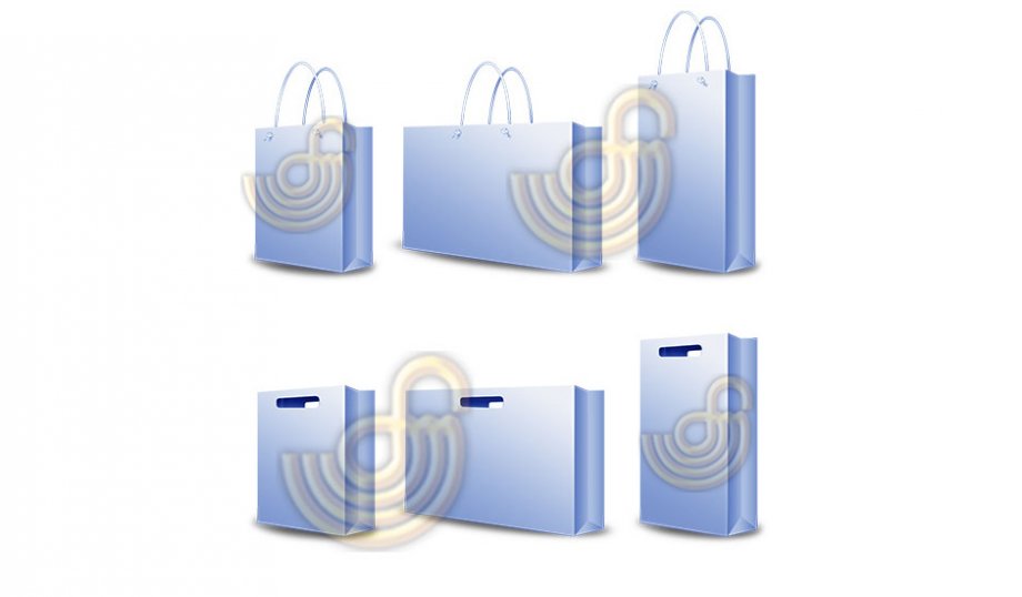Carton Bags & Kraft Bags