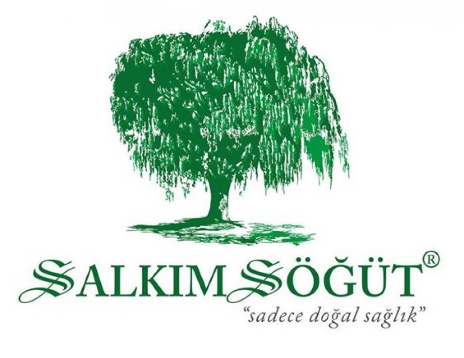 Salkım Söğüt Aktar / Göktürk