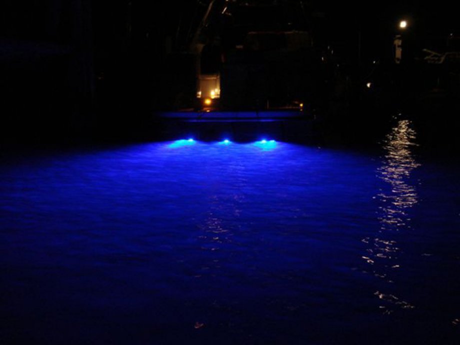 Прожектор в воду. Подсветка воды. Подсветка воды в бассейне. Иллюминация под водой. Подсветка под водой.