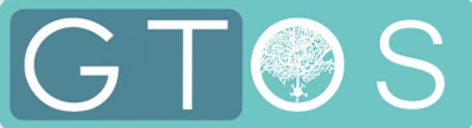 GTOS Terapi Kalıcı Çözüm Müdür?