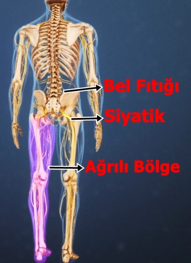 Bel Sağlığı İçin Altın Kurallar