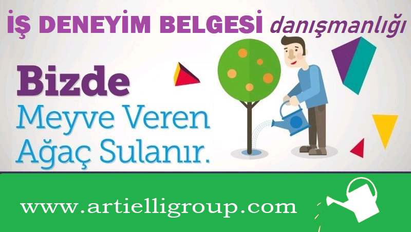 İş Deneyim Danışmanlığı