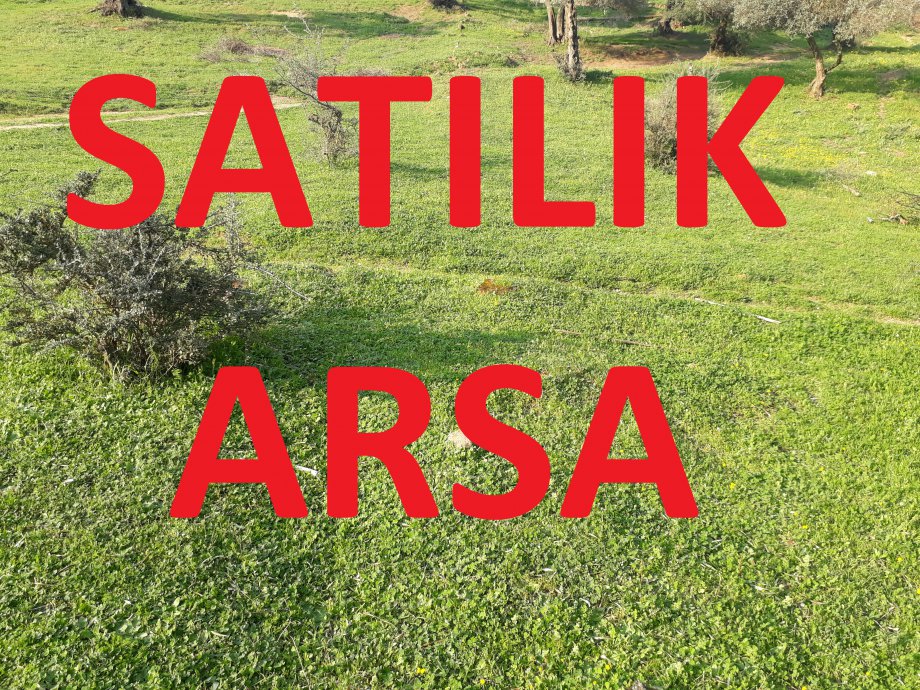 Aydın Satılık Arsa 13.000 m2 incirliova 7.500.000 Tl.