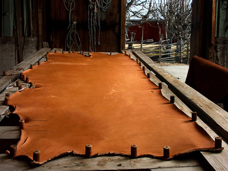 What is Bovine Leather?
