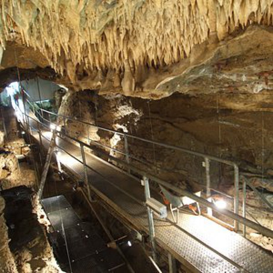 Belçika Scladina Mağarası Kazısı