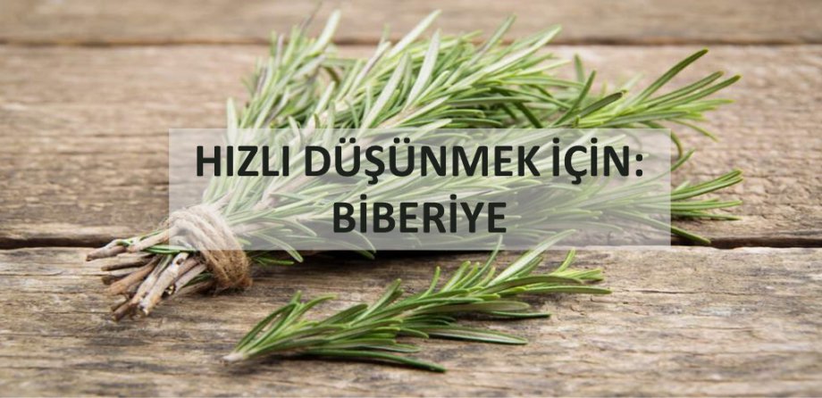 Hızlı Düşünmek İçin: Biberiye