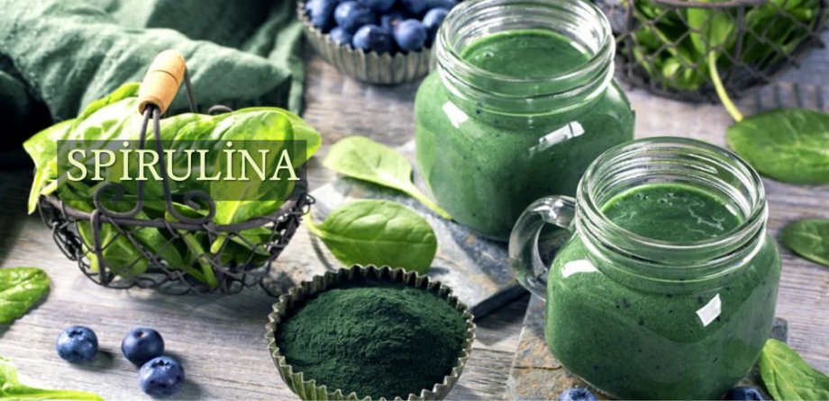 Spirulina Nedir?