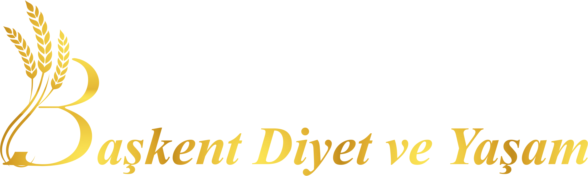 baskentdiyet.com