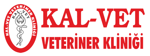 kalvet-48.com